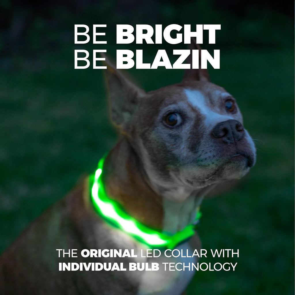 ' Safety LED Dog Collar – USB Rechargeable with Water Resistant Flashing Light