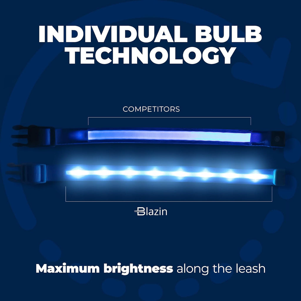 ' Safety LED Dog Collar – USB Rechargeable with Water Resistant Flashing Light