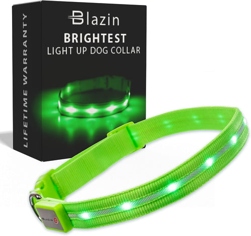' Safety LED Dog Collar – USB Rechargeable with Water Resistant Flashing Light